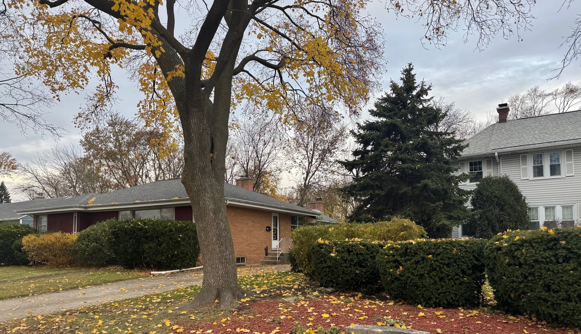 714 E Thacker Street, Des Plaines, IL 60016