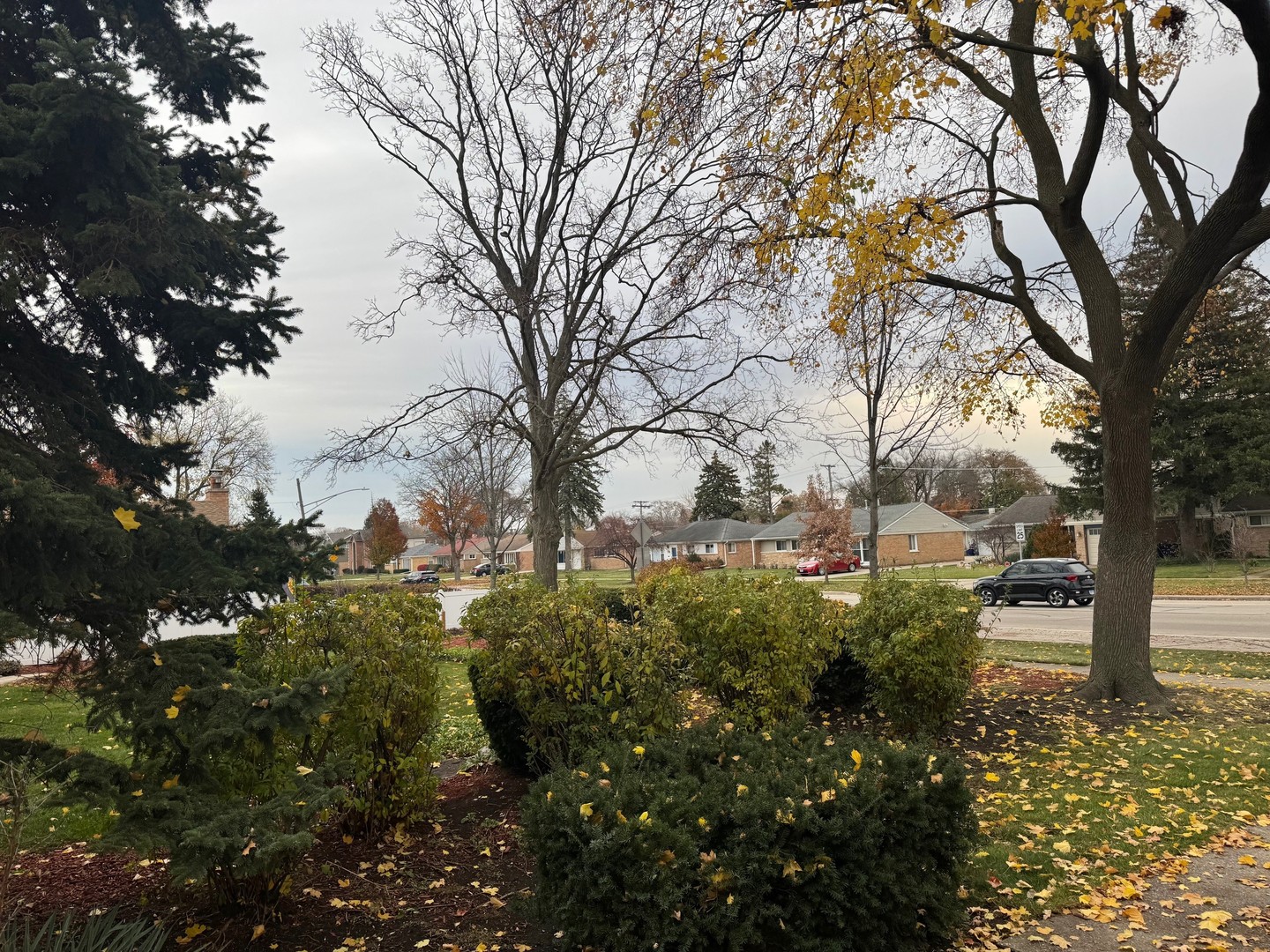 714 E Thacker Street, Des Plaines, IL 60016