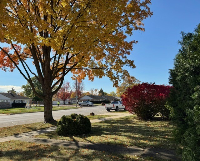 714 E Thacker Street, Des Plaines, IL 60016