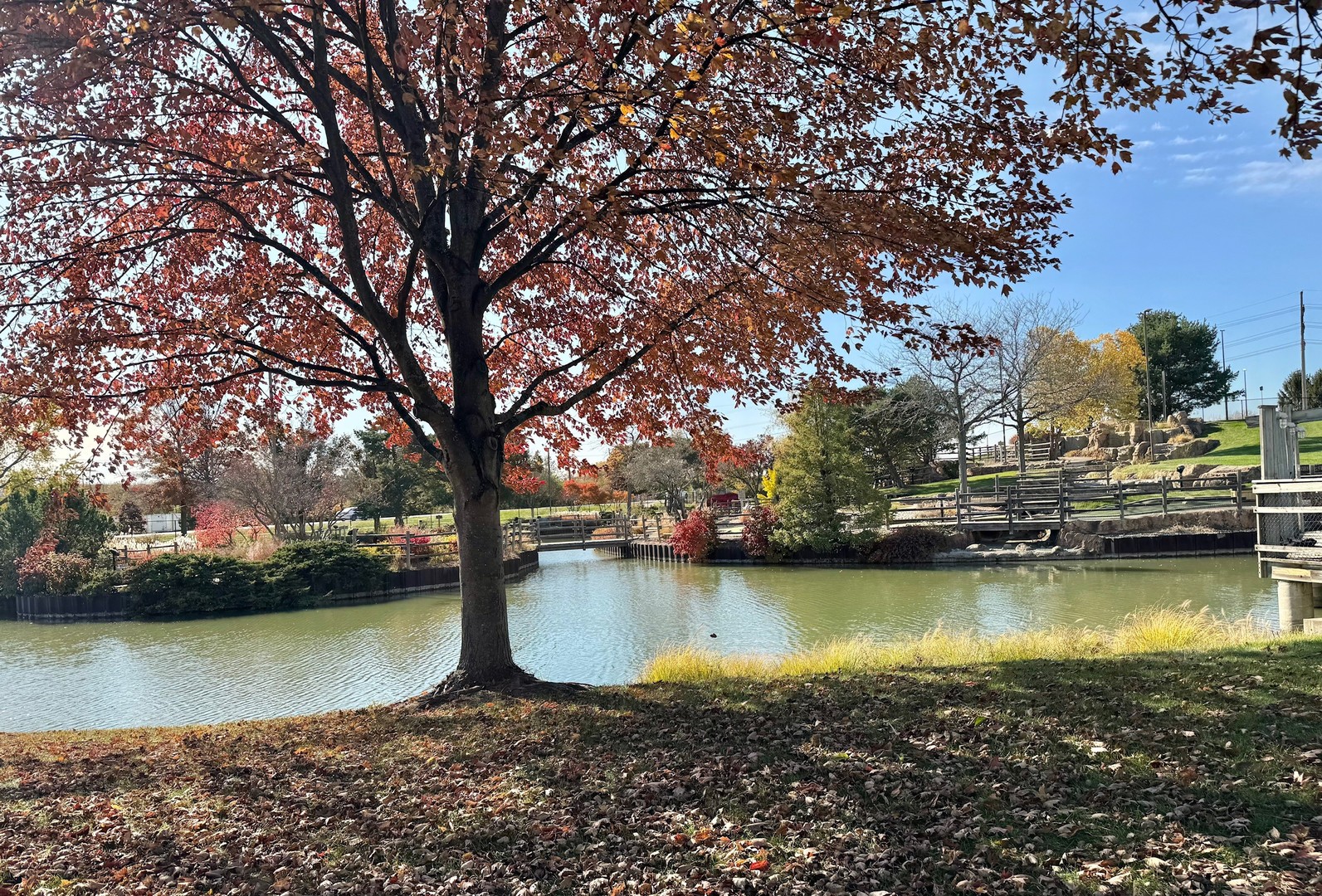 714 E Thacker Street, Des Plaines, IL 60016