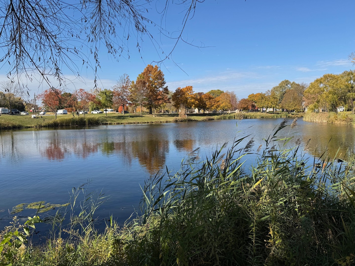 714 E Thacker Street, Des Plaines, IL 60016