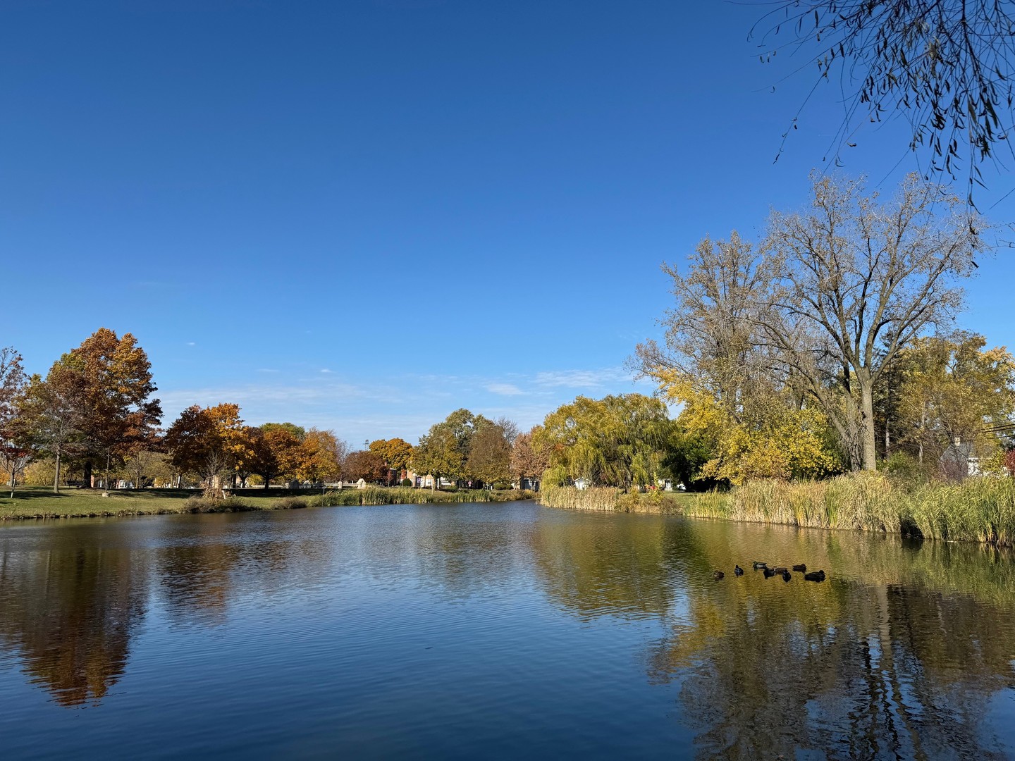 714 E Thacker Street, Des Plaines, IL 60016