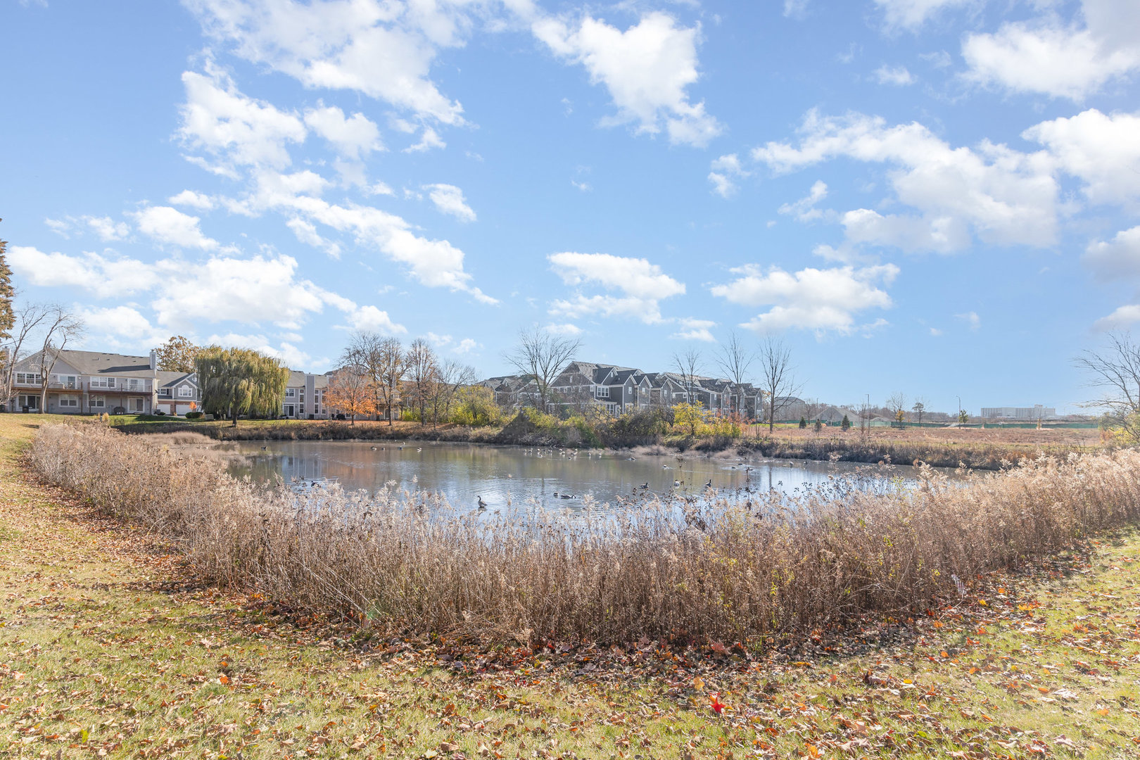 1343 Danada Court, Naperville, IL 60563