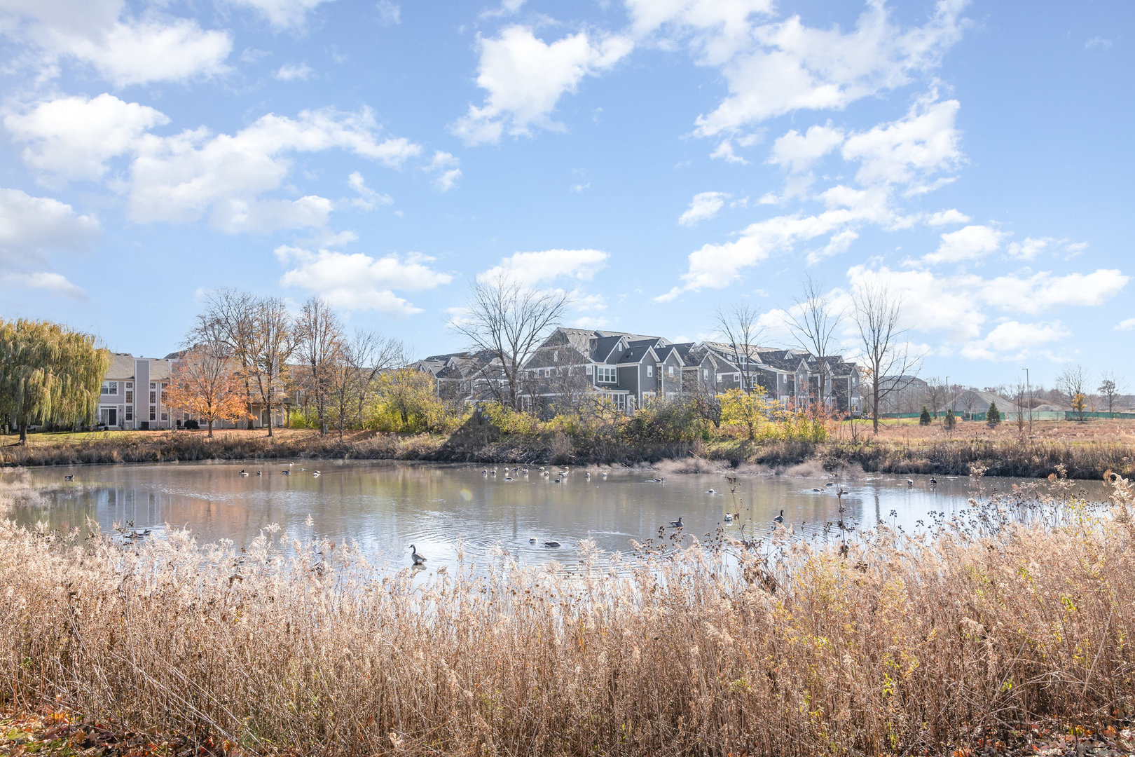 1343 Danada Court, Naperville, IL 60563