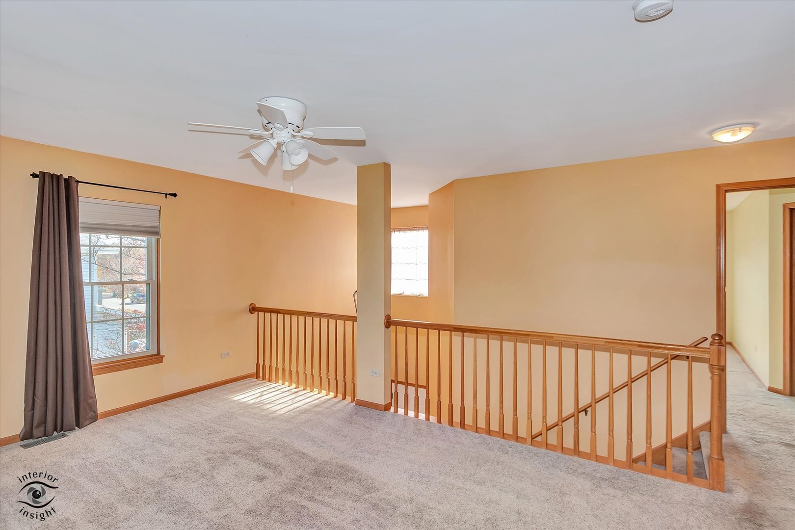 1110 E Treeline Drive, Lockport, IL 60441