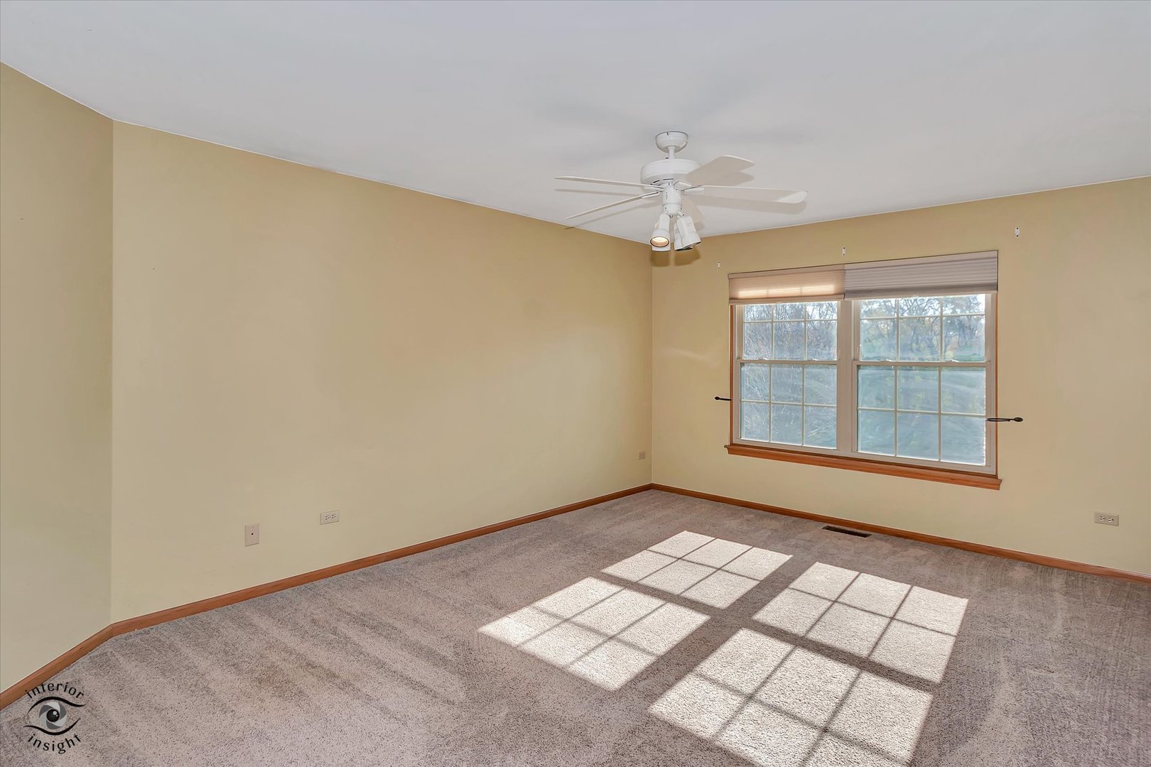 1110 E Treeline Drive, Lockport, IL 60441