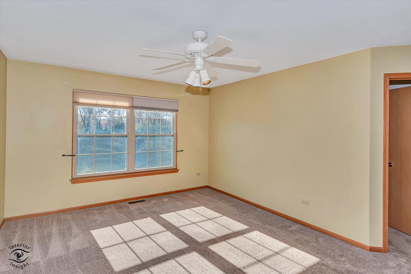 1110 E Treeline Drive, Lockport, IL 60441