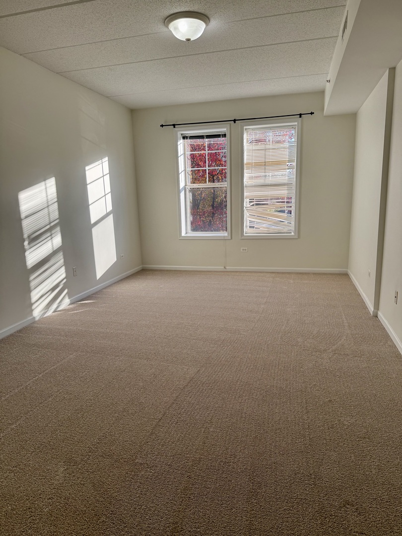 455 W Wood Street #212, Palatine, IL 60067