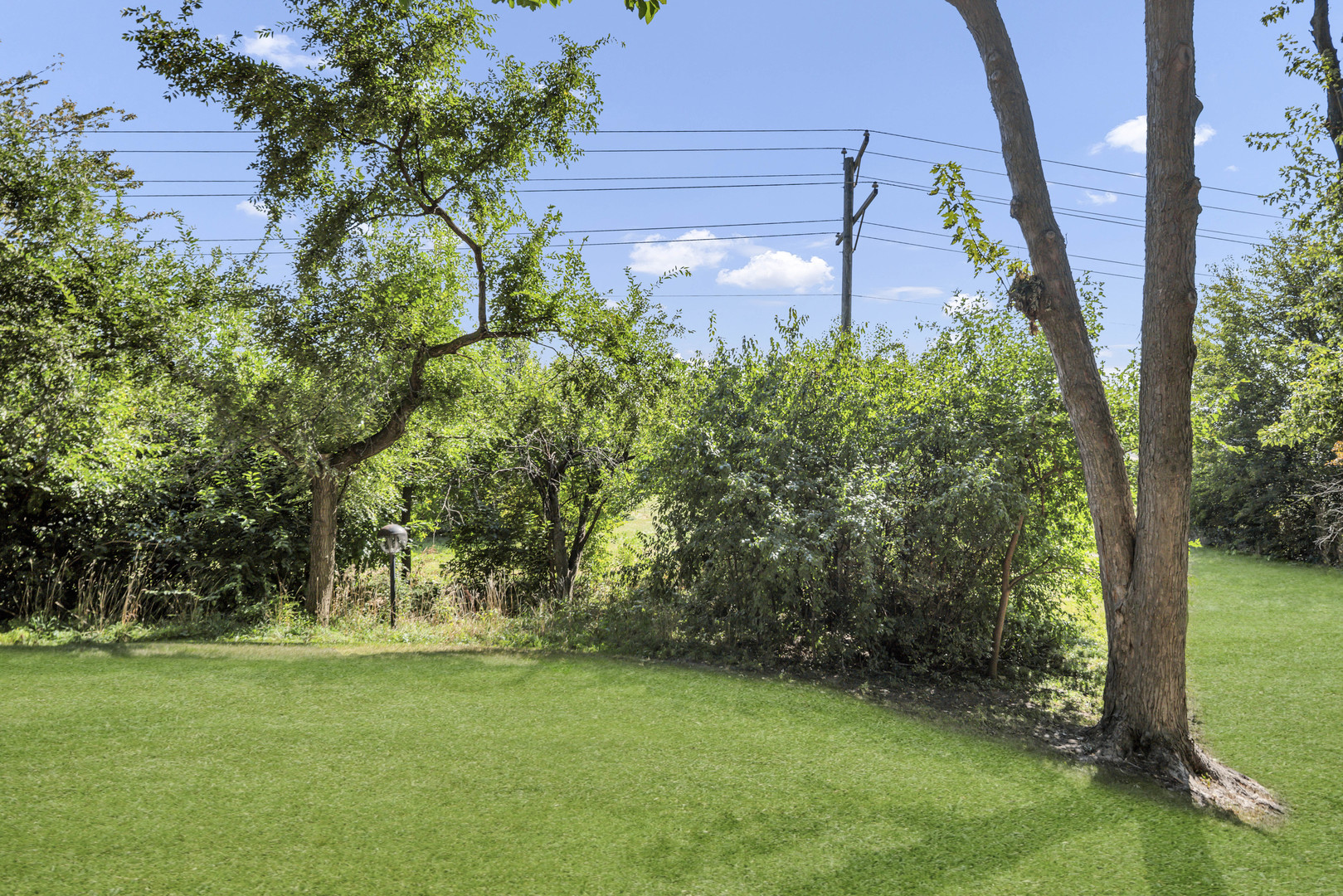 1101 Sausalito Court #1101, Bartlett, IL 60103