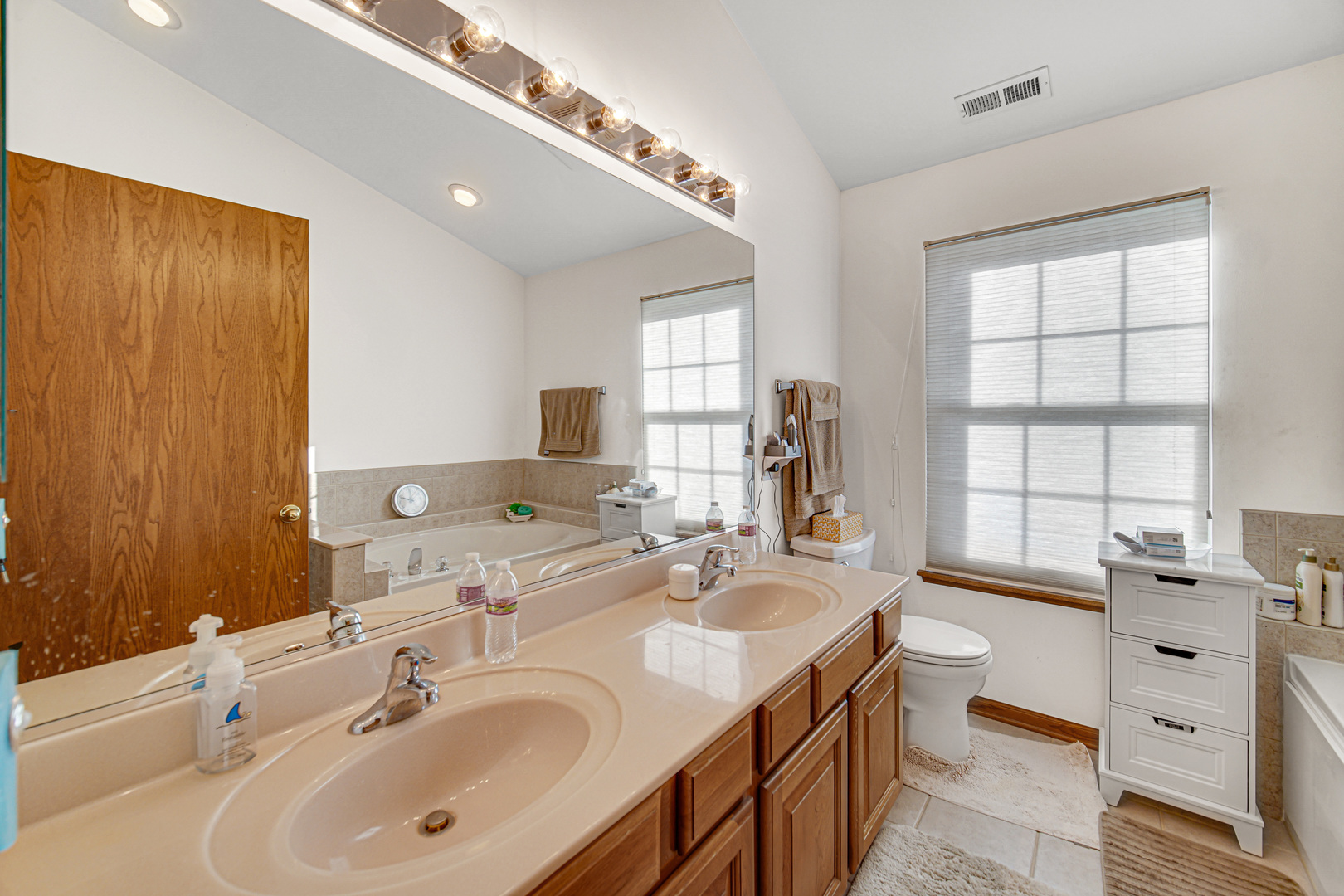 188 Breckenridge Court, Gilberts, IL 60136