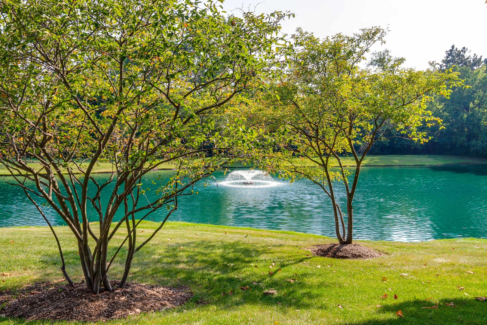 1316 Christine Court, Vernon Hills, IL 60061