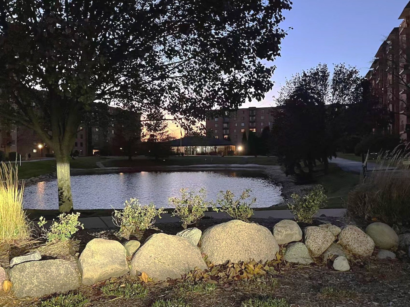 1727 W Crystal Lane #707B, Mount Prospect, IL 60056