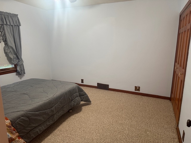 307 N Linden Street, Clinton, IL 61727