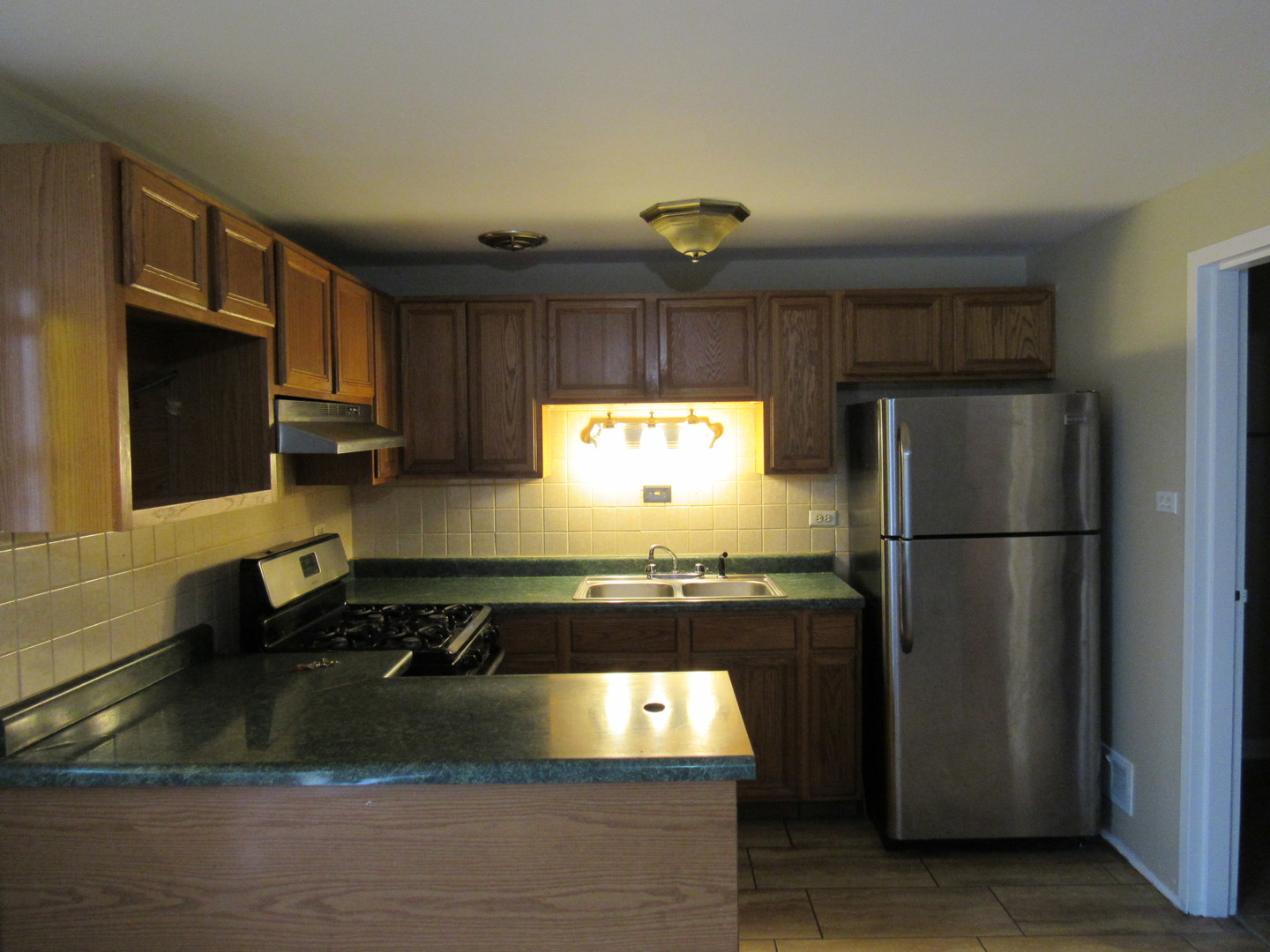 1350 E 87th Street, Chicago, IL 60619