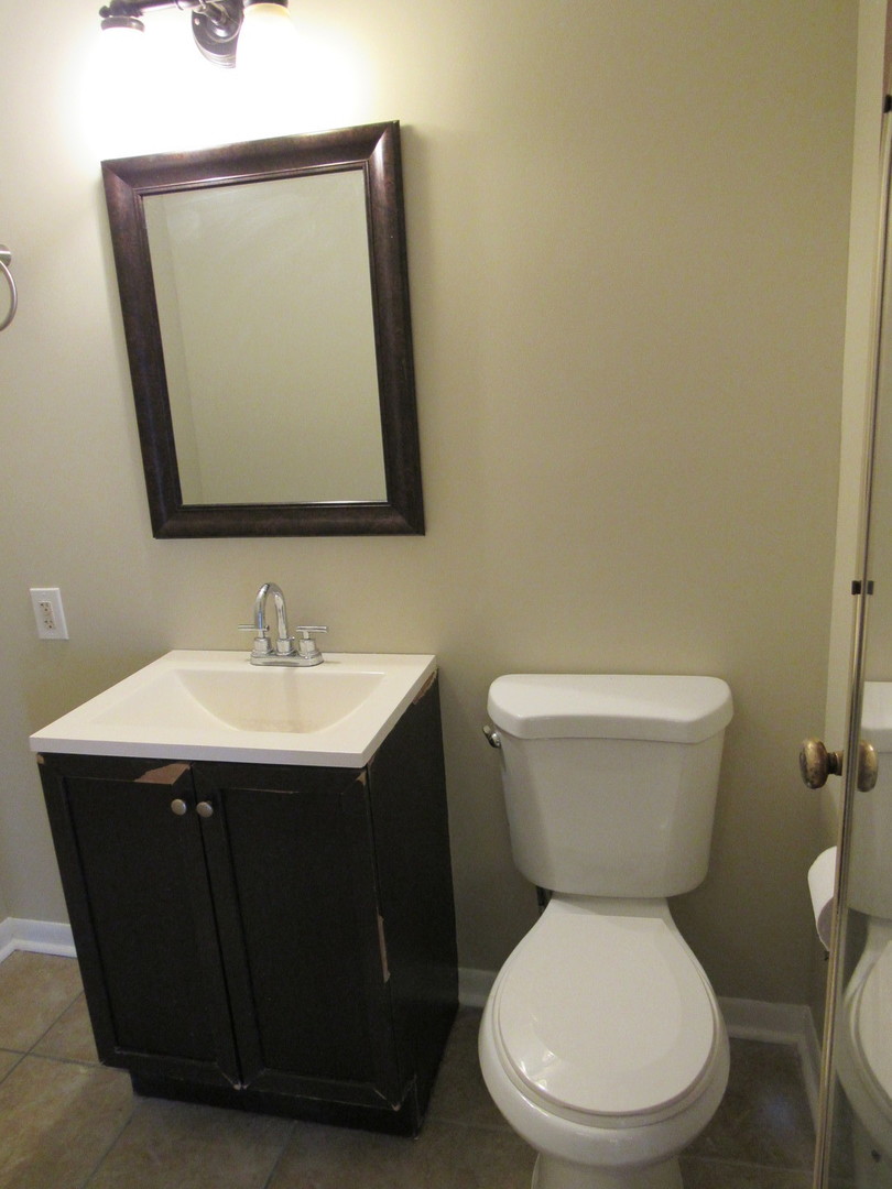 1350 E 87th Street, Chicago, IL 60619