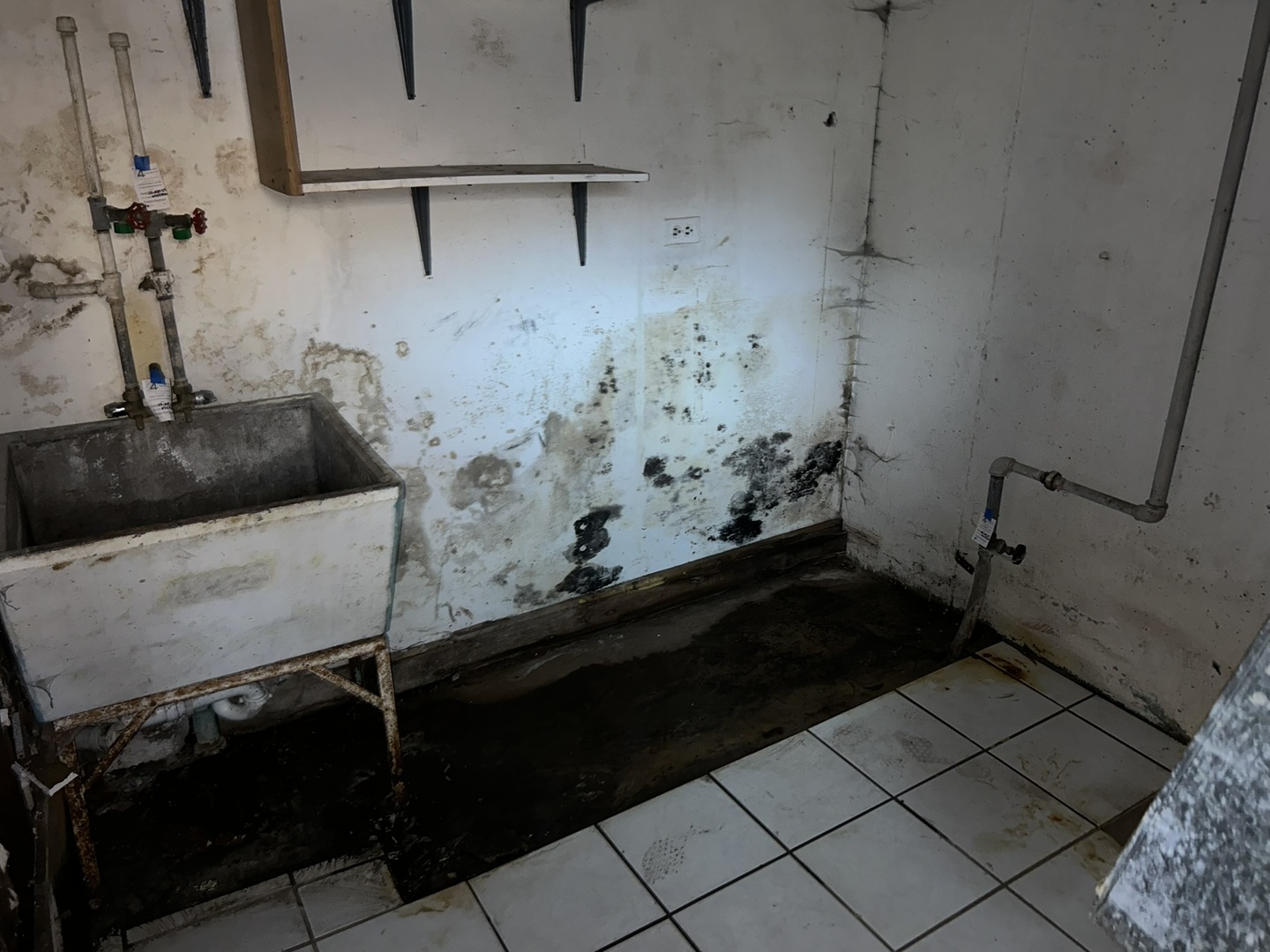 11554 S Peoria Street, Chicago, IL 60643