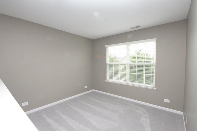 133 Willey Street, Gilberts, IL 60136