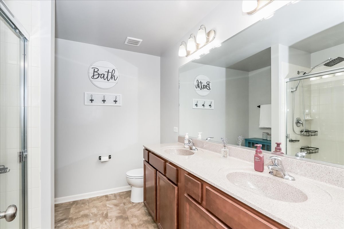 342 Snow Drop Lane, Elgin, IL 60124