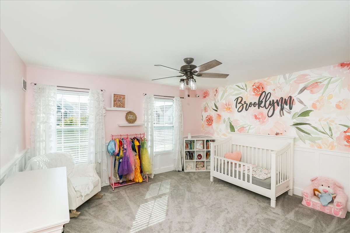 342 Snow Drop Lane, Elgin, IL 60124