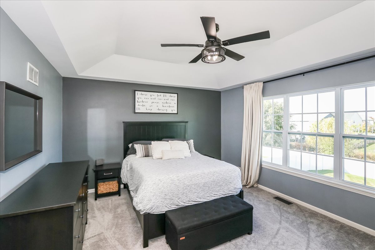 342 Snow Drop Lane, Elgin, IL 60124