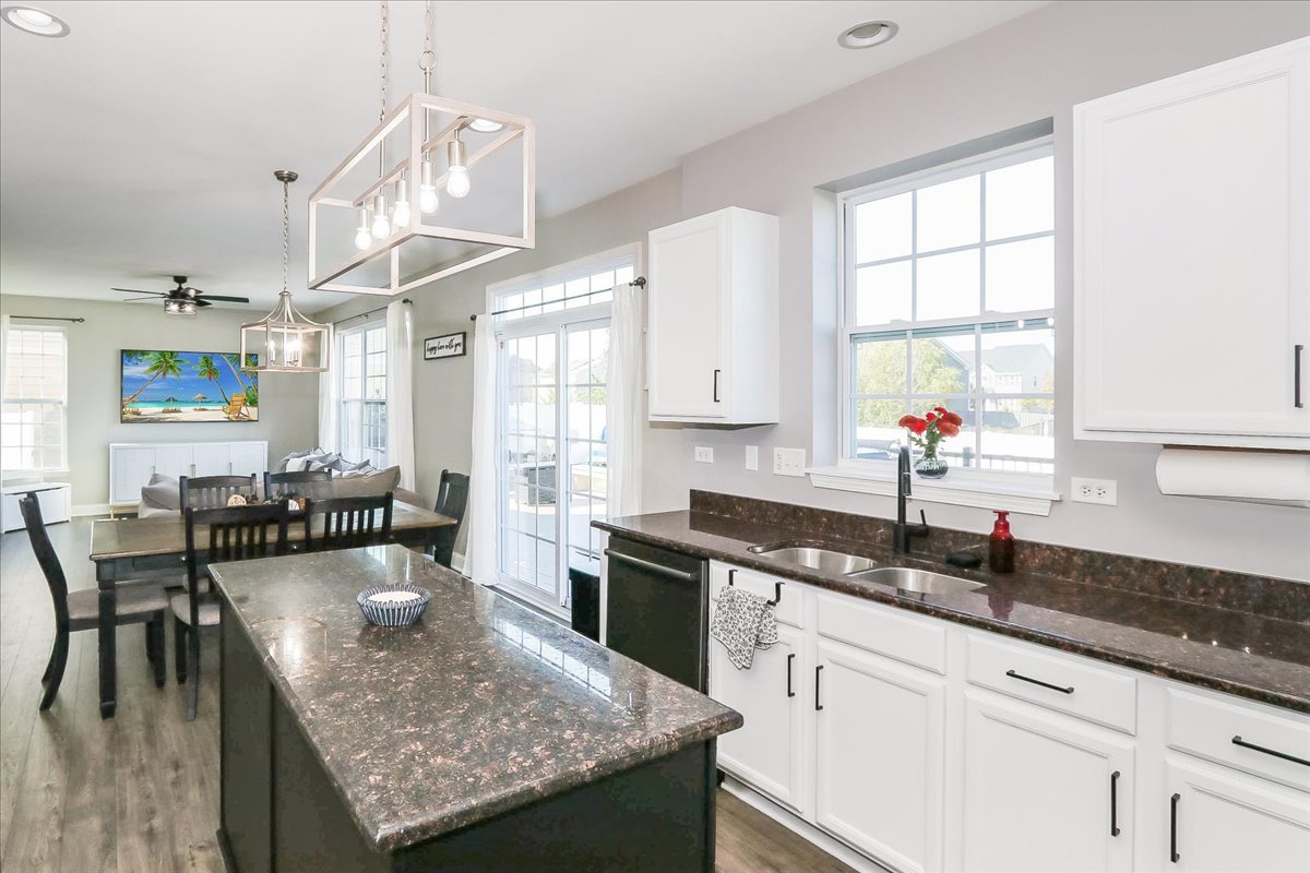 342 Snow Drop Lane, Elgin, IL 60124