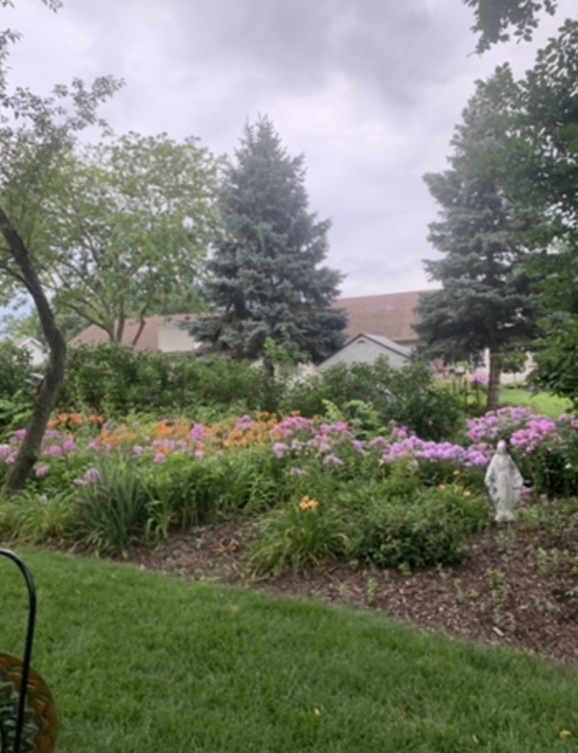 225 Sibley Drive, Minooka, IL 60447