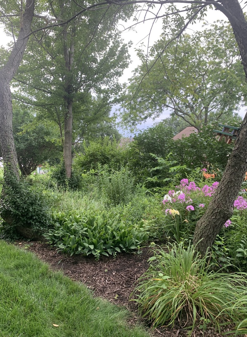 225 Sibley Drive, Minooka, IL 60447