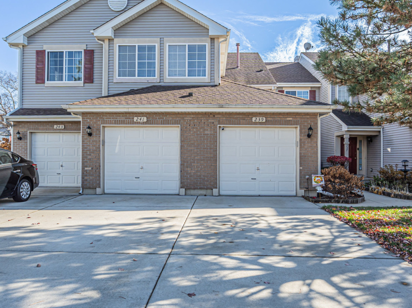 239 Camel Bend Court #4, Schaumburg, IL 60194