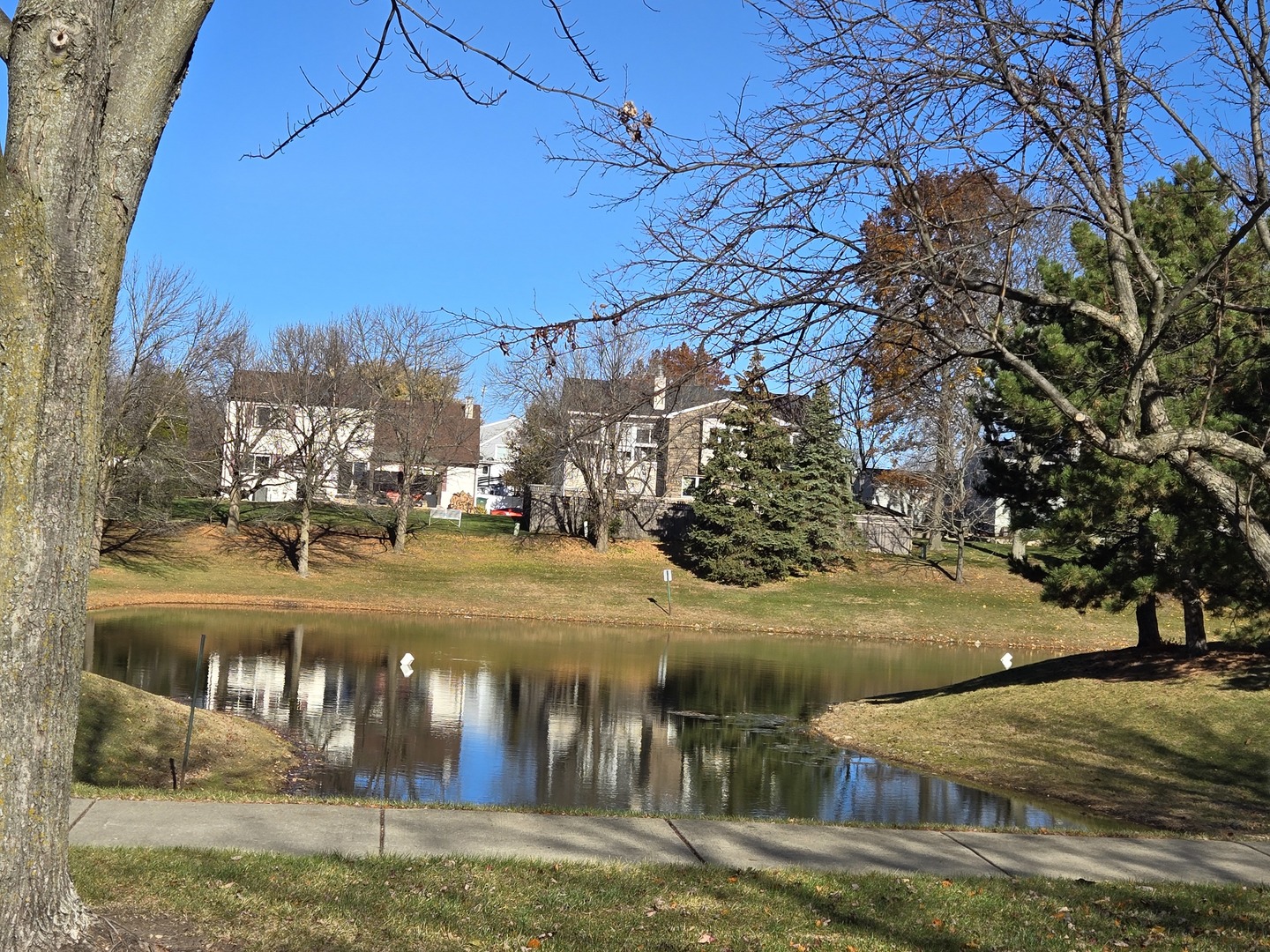 273 W 20th Street, Lombard, IL 60148