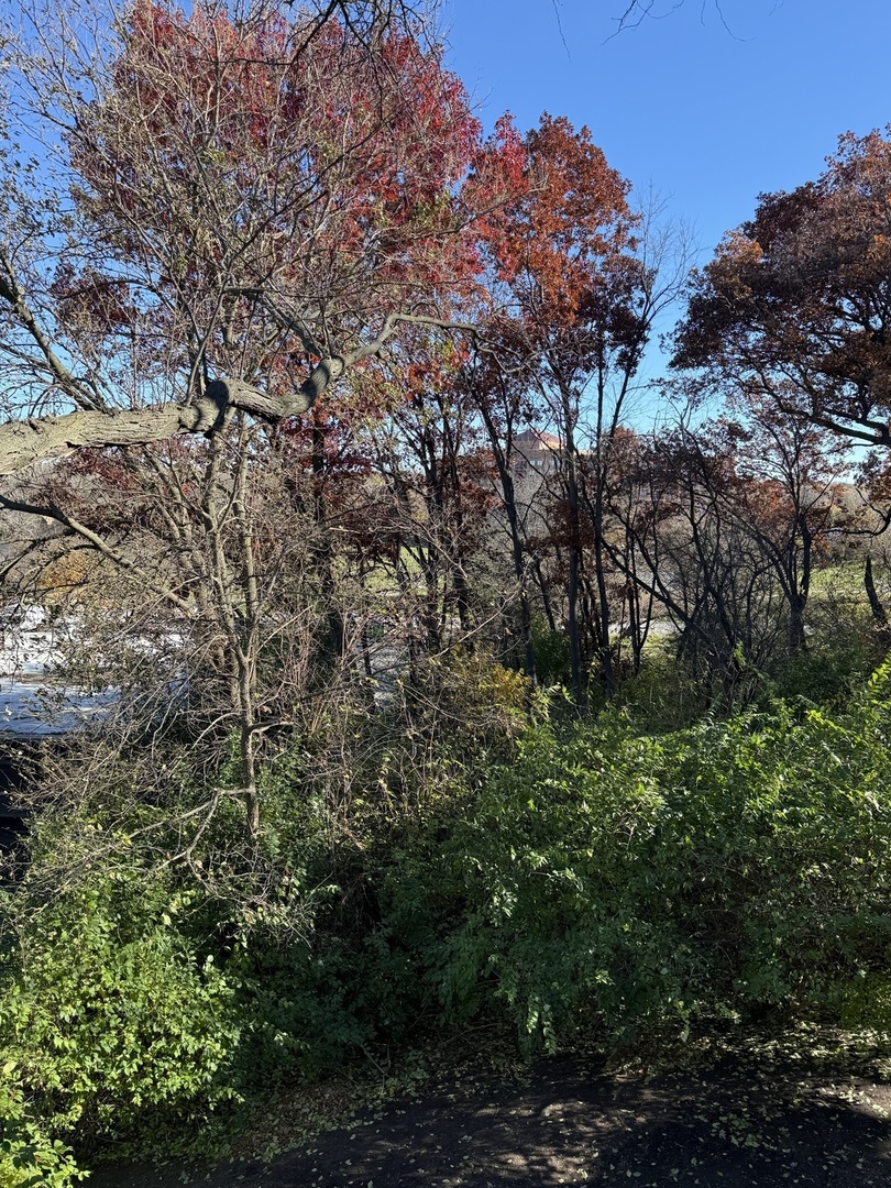 5811 Oakwood Drive #C, Lisle, IL 60532