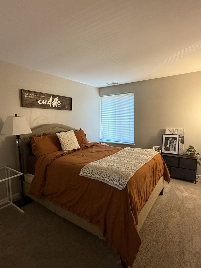 5811 Oakwood Drive #C, Lisle, IL 60532