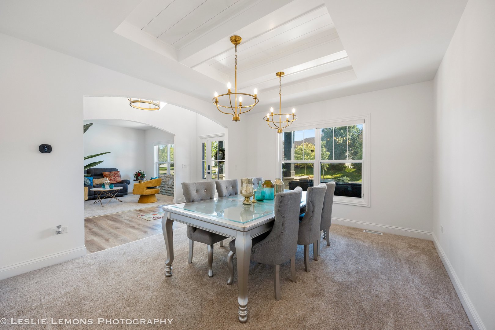 315 White Pines Lane, Oswego, IL 60543