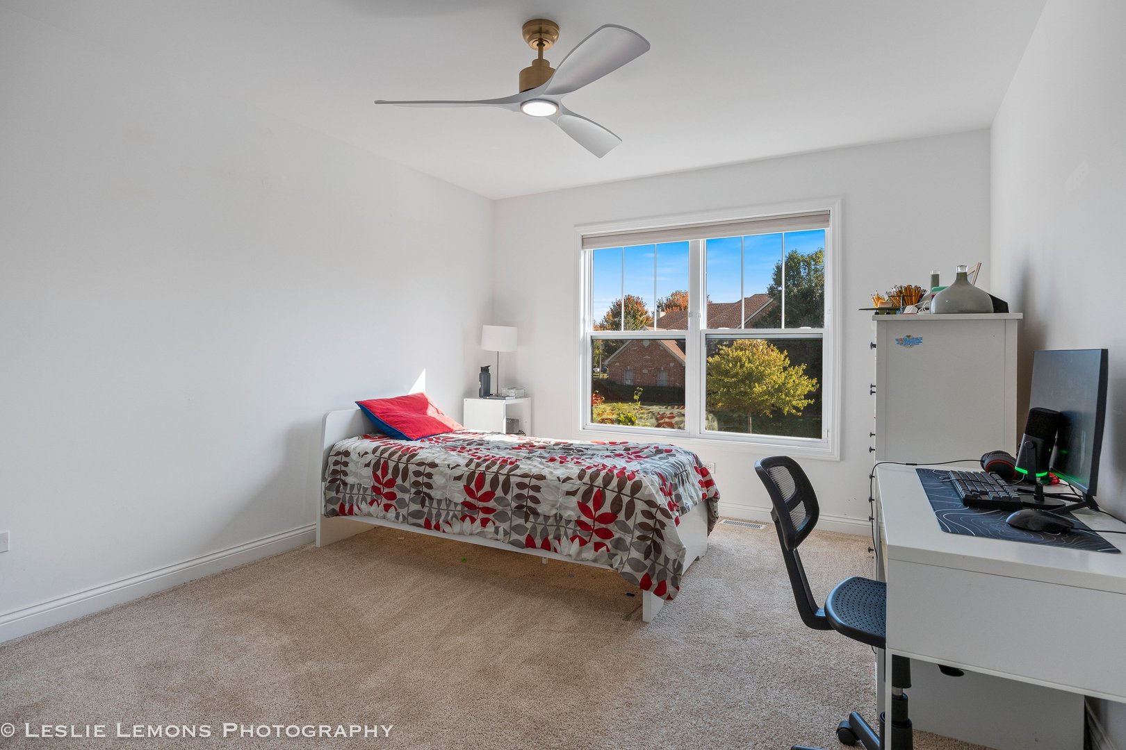 315 White Pines Lane, Oswego, IL 60543