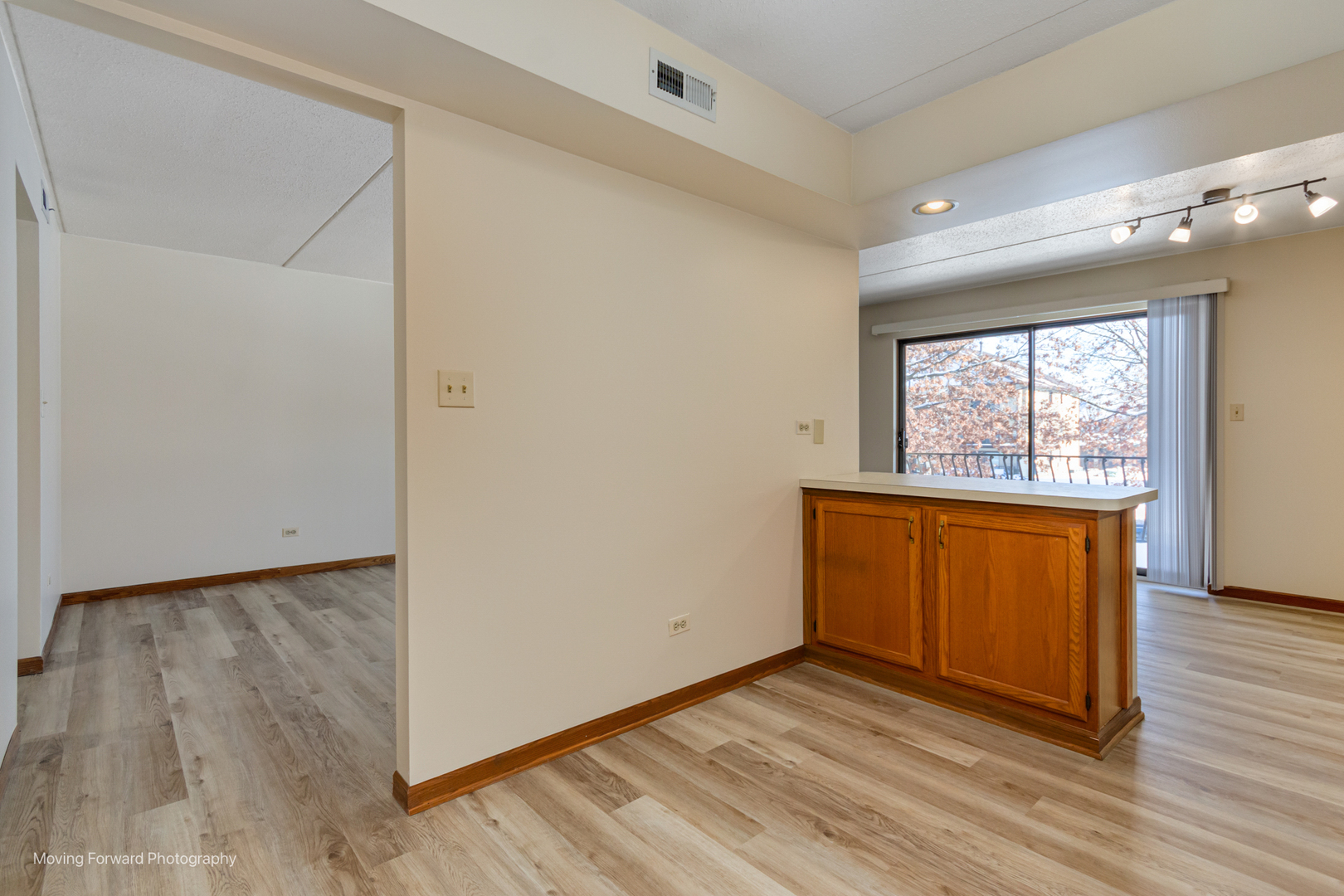 17960 Royal Oak Court #2S, Tinley Park, IL 60477