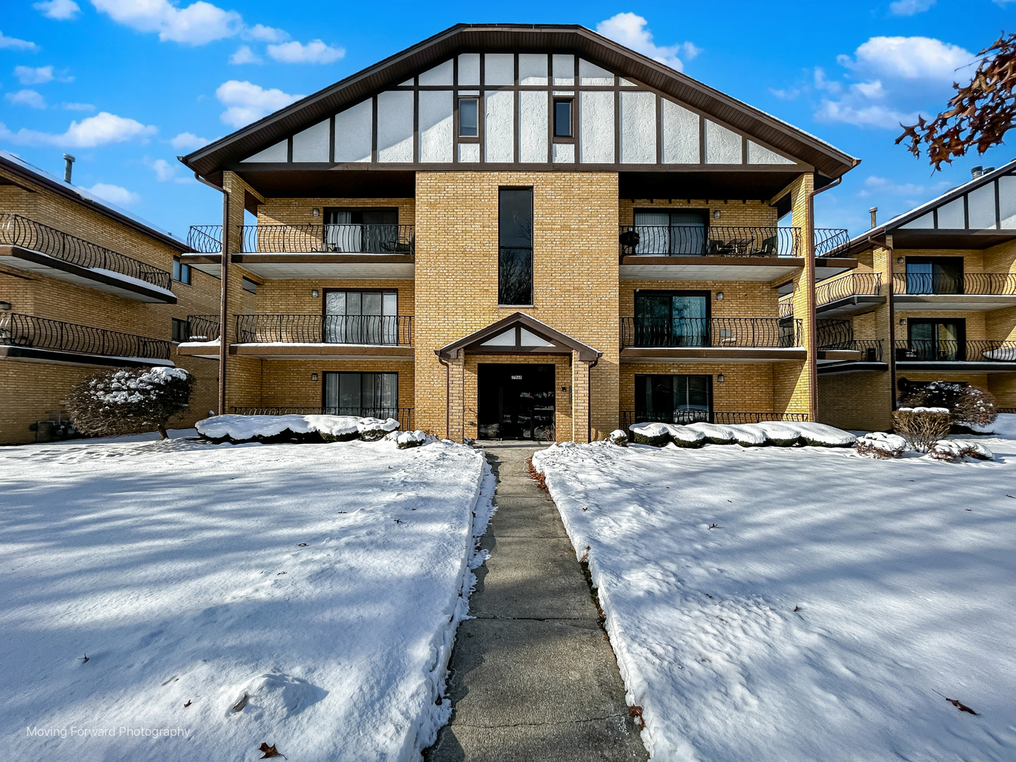 17960 Royal Oak Court #2S, Tinley Park, IL 60477