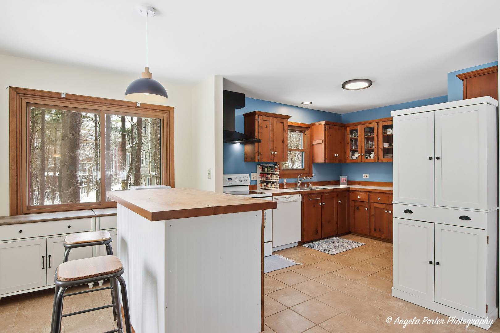 22665 W DEPOT Street, Antioch, IL 60002