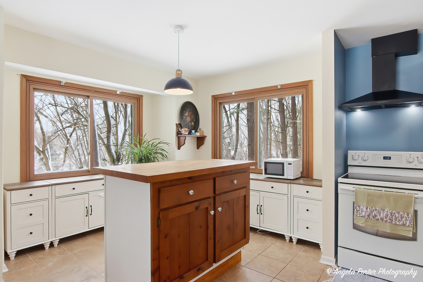 22665 W DEPOT Street, Antioch, IL 60002