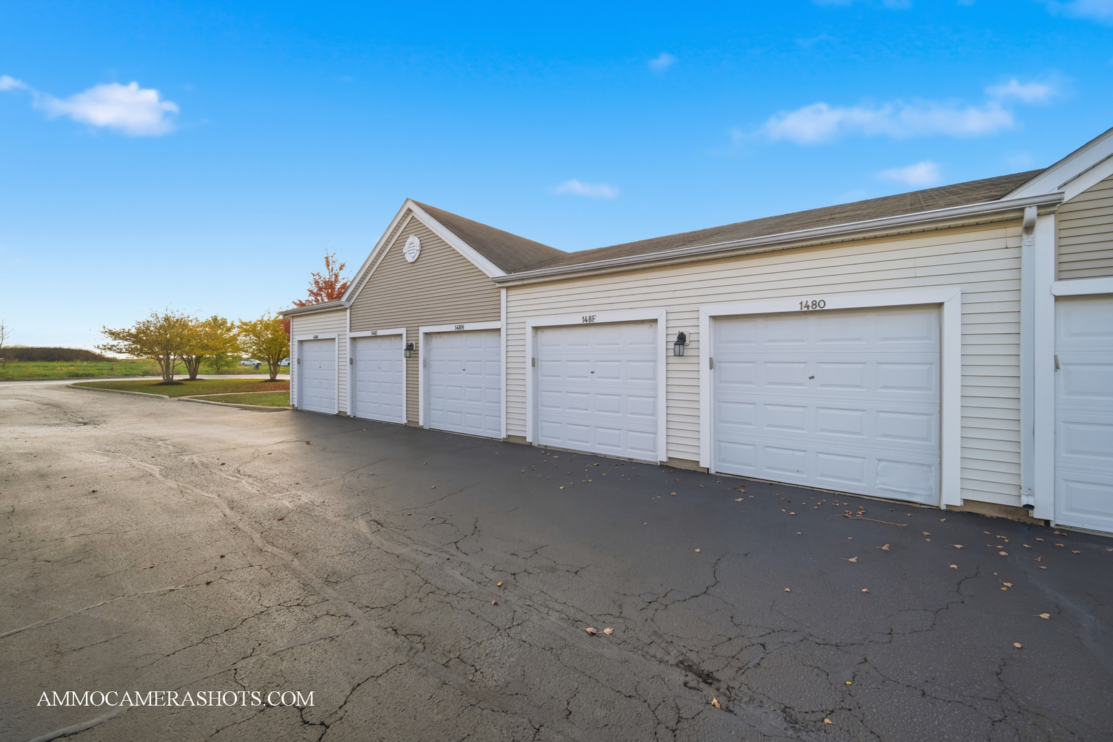 148 Bertram Drive #O, Yorkville, IL 60560