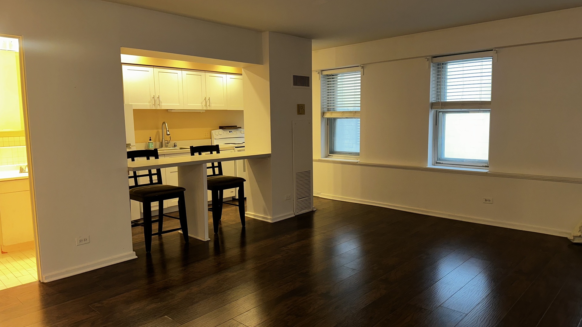 40 E 9th Street #312, Chicago, IL 60605
