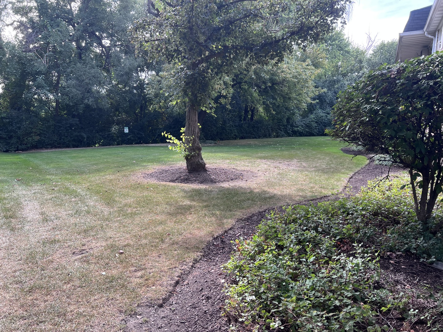 2427 Ogden Avenue #3, Downers Grove, IL 60515