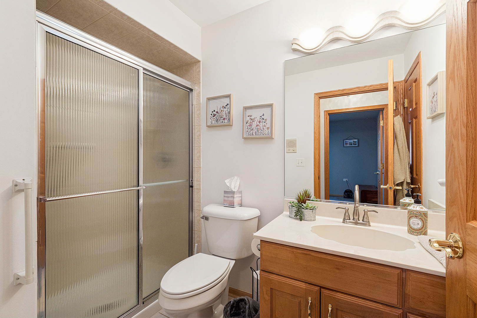 10433 San Luis Lane, Orland Park, IL 60467