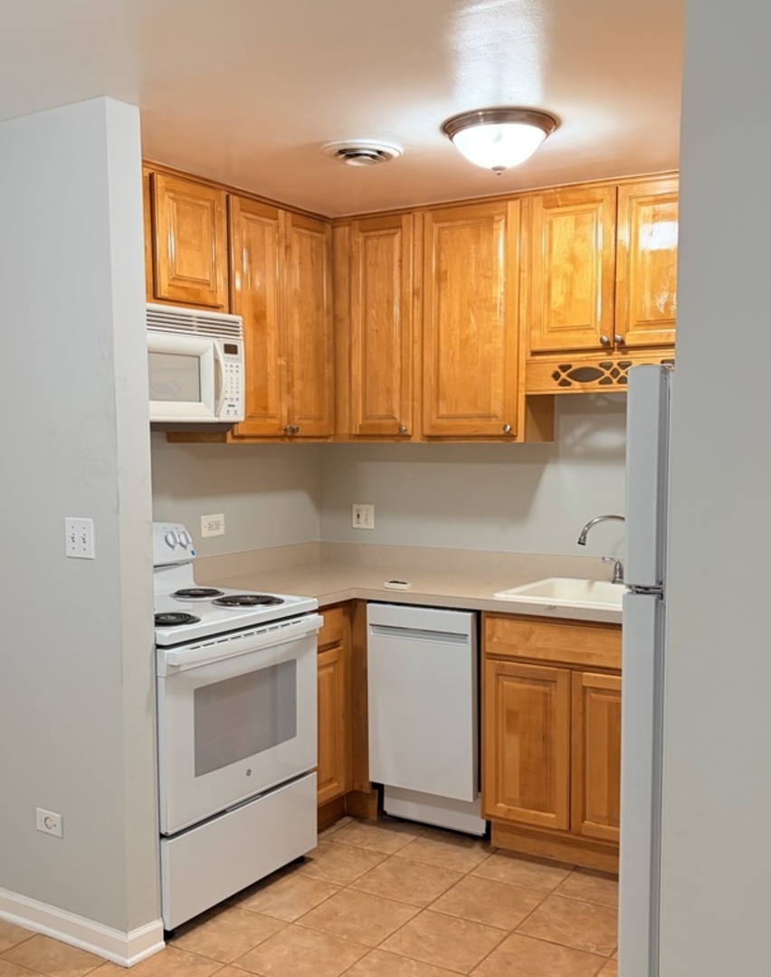 310 Lathrop Avenue #307, Forest Park, IL 60130