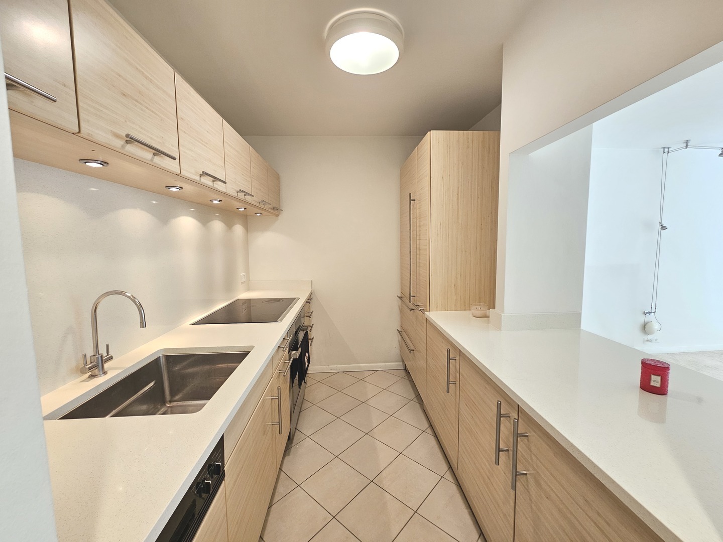 535 N Michigan Avenue #1705, Chicago, IL 60611