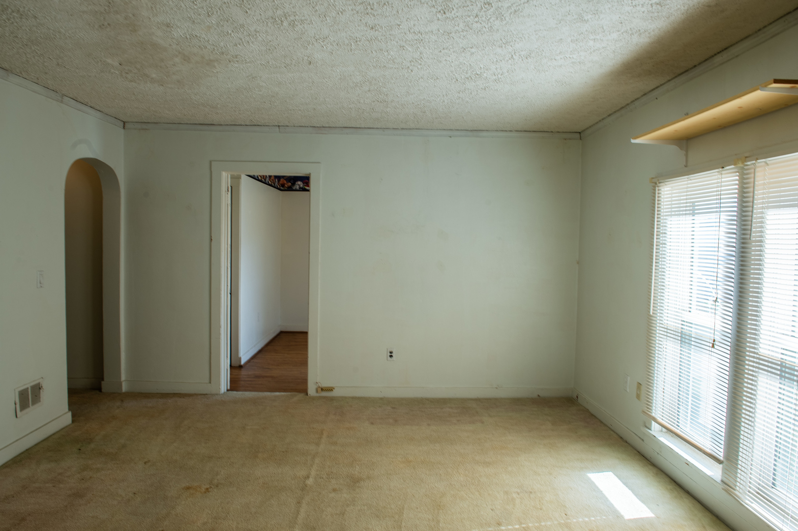 30 Plum Street, Saunemin, IL 61769