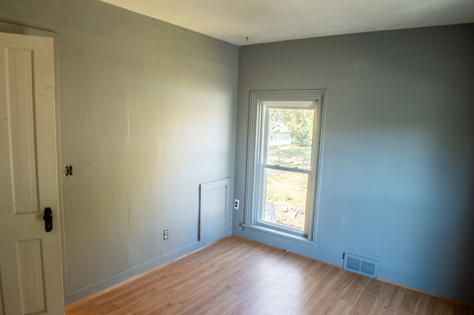 30 Plum Street, Saunemin, IL 61769