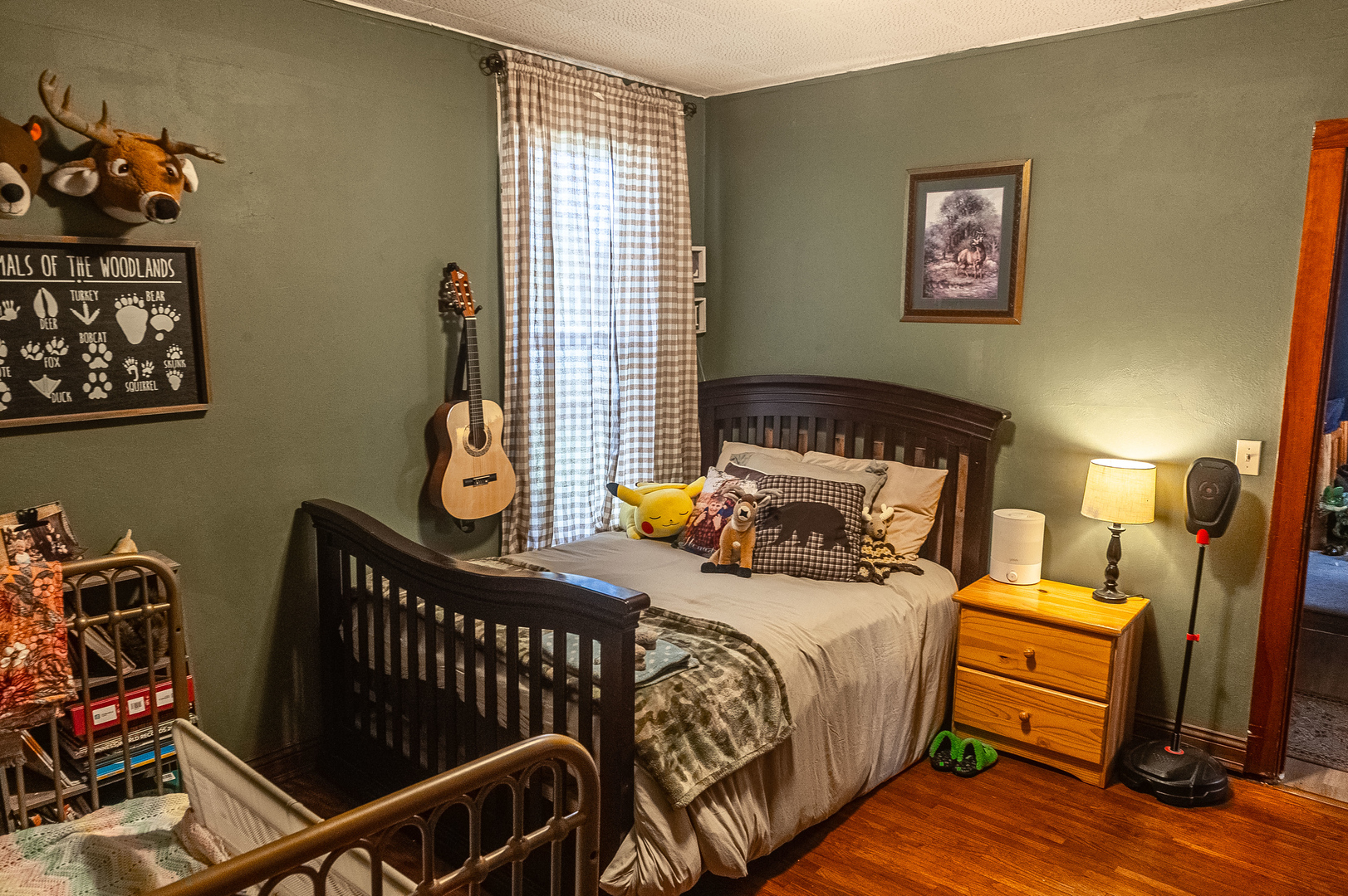 30 Plum Street, Saunemin, IL 61769