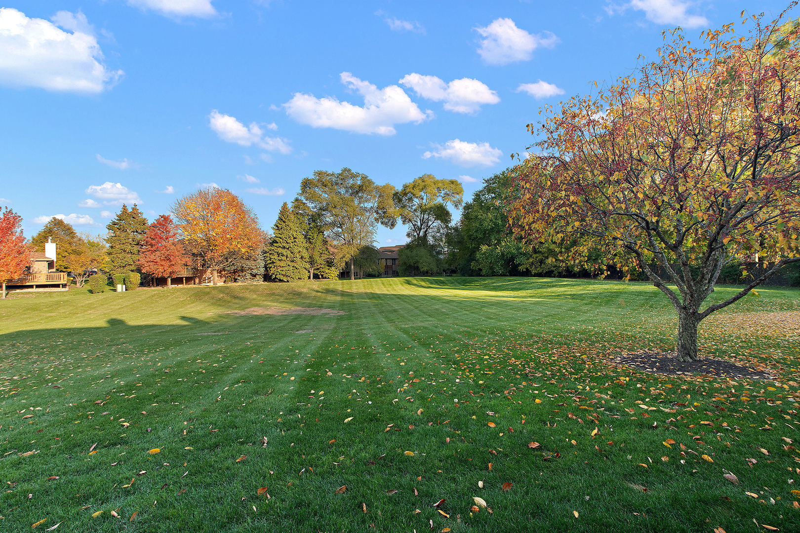 12249 S Arbor Trail #G2, Palos Heights, IL 60463