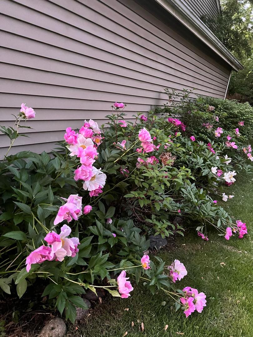 Bolingbrook, IL 60440