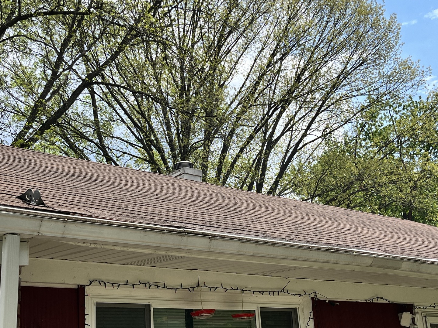 335 Manitowac Street, Park Forest, IL 60466
