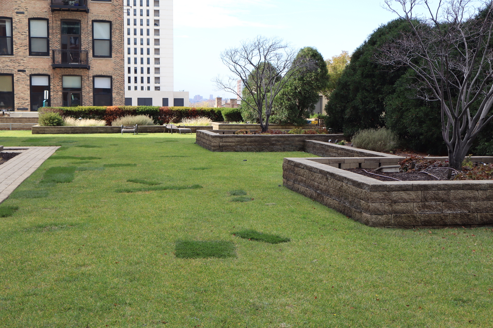 1250 S Michigan Avenue #1306, Chicago, IL 60605